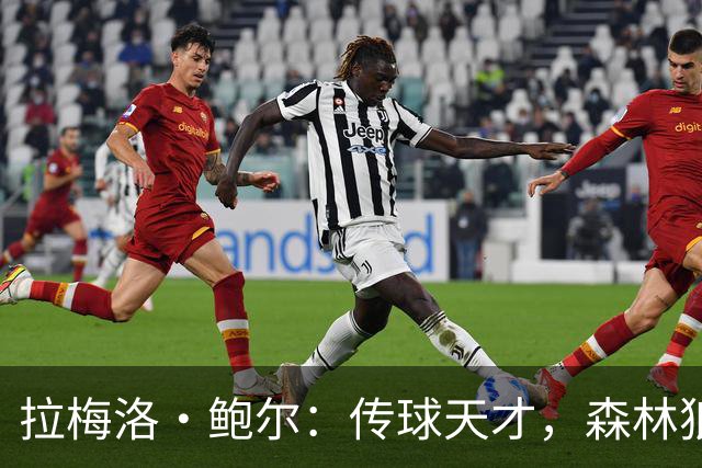 拉梅洛·鲍尔：传球天才，森林狼的理想伴侣